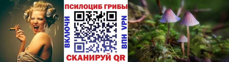 Псилоцибиновые грибы Magic Shrooms  сколько стоит  МЕГА ТОР  Меленки 